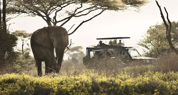 Sudafrica by Willie Carballo