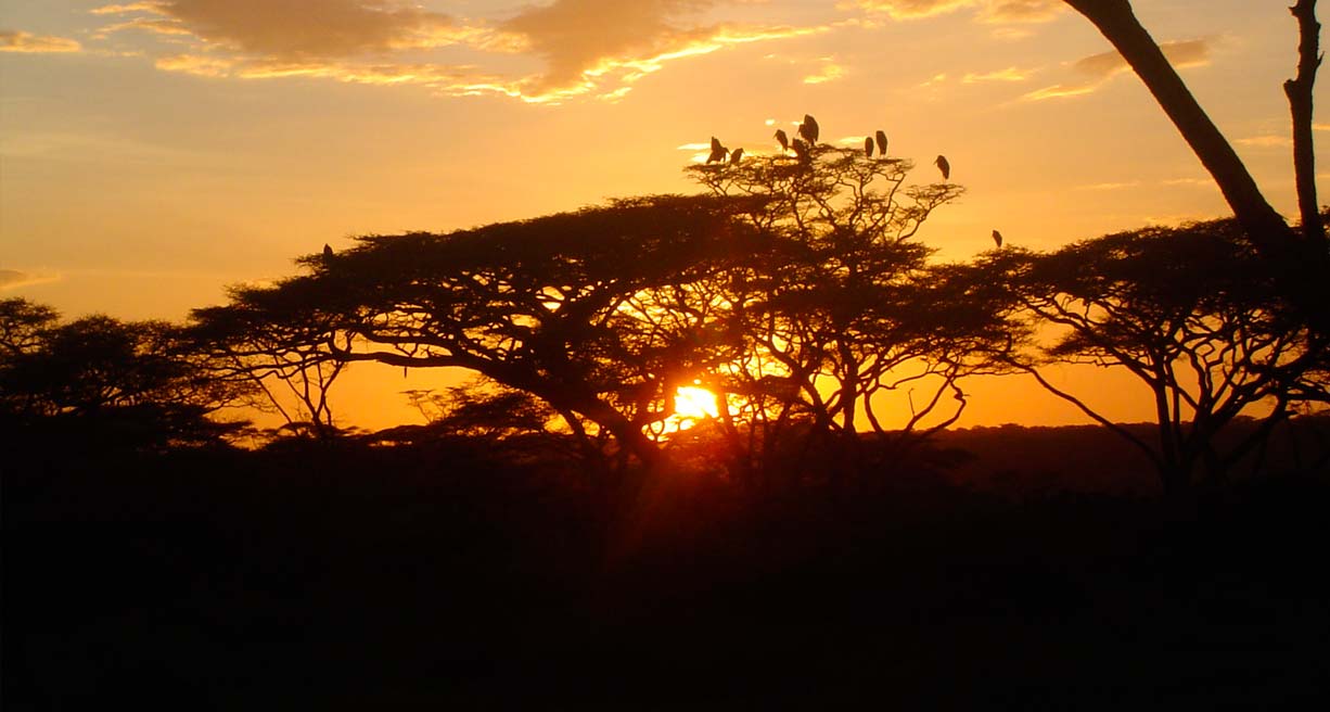 Sudafrica by Willie Carballo