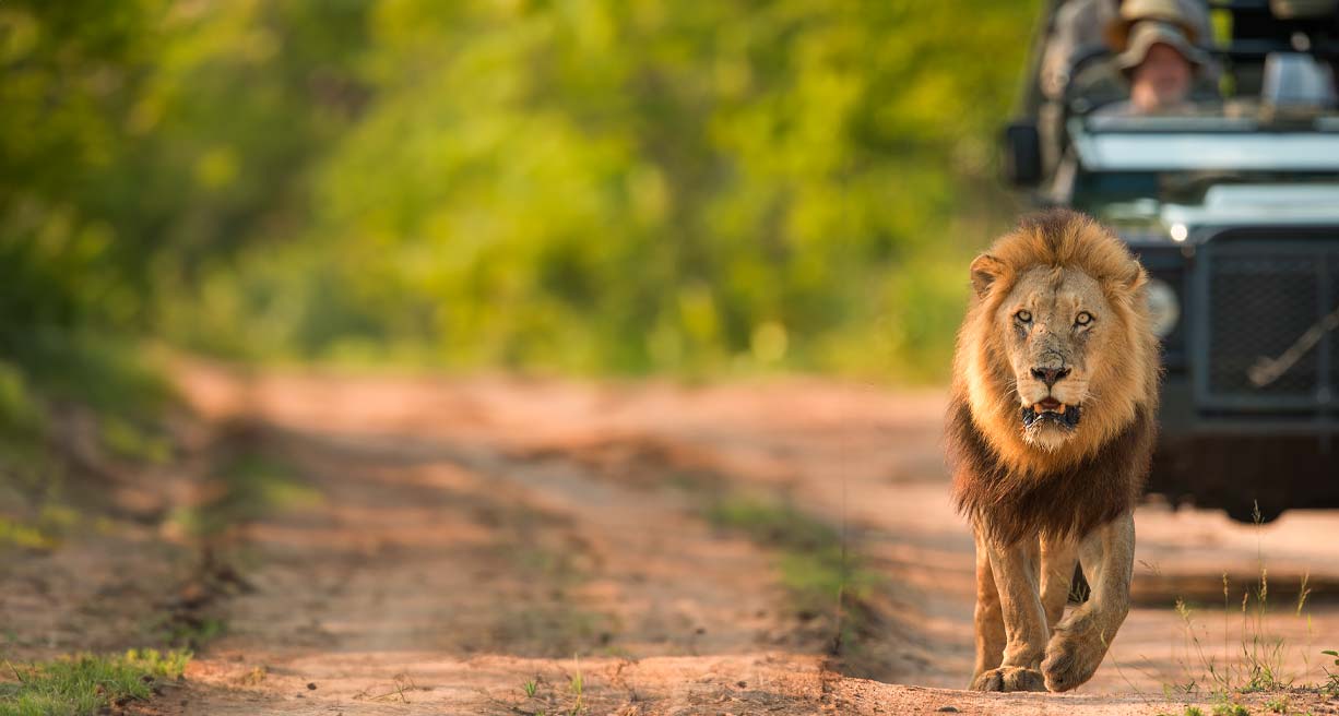 Sudafrica by Willie Carballo