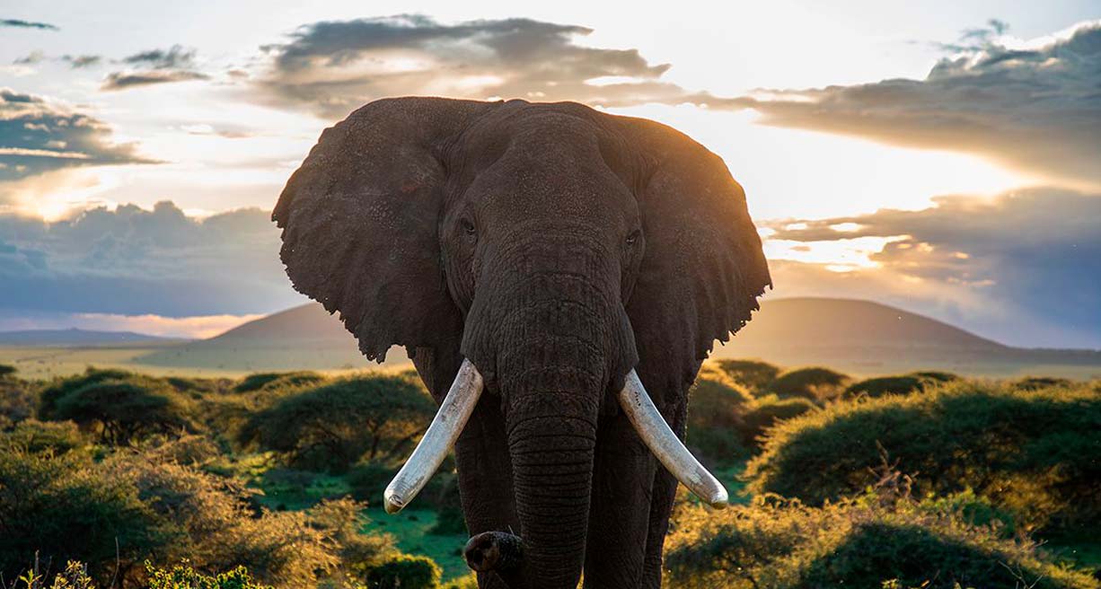 Sudafrica by Willie Carballo